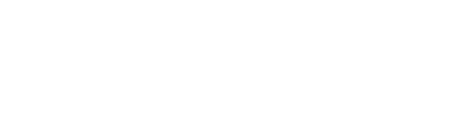 SonicWall Logo (White)