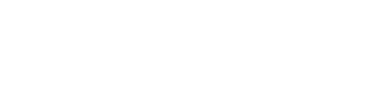 DNS Filter Logo (White)
