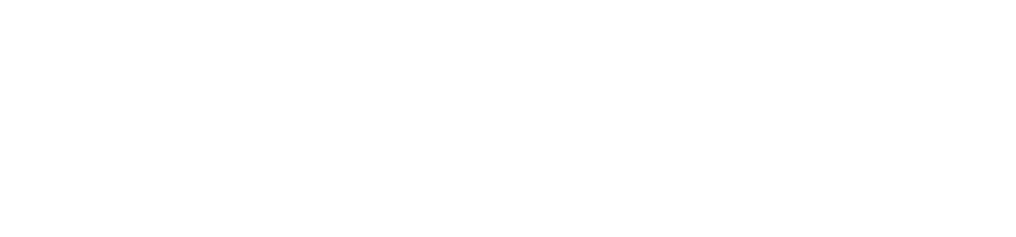 Barracude Logo (White)